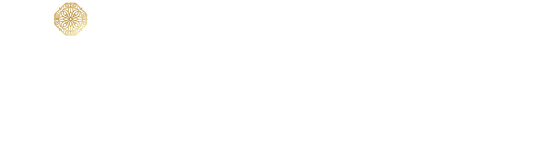 JanzVibe